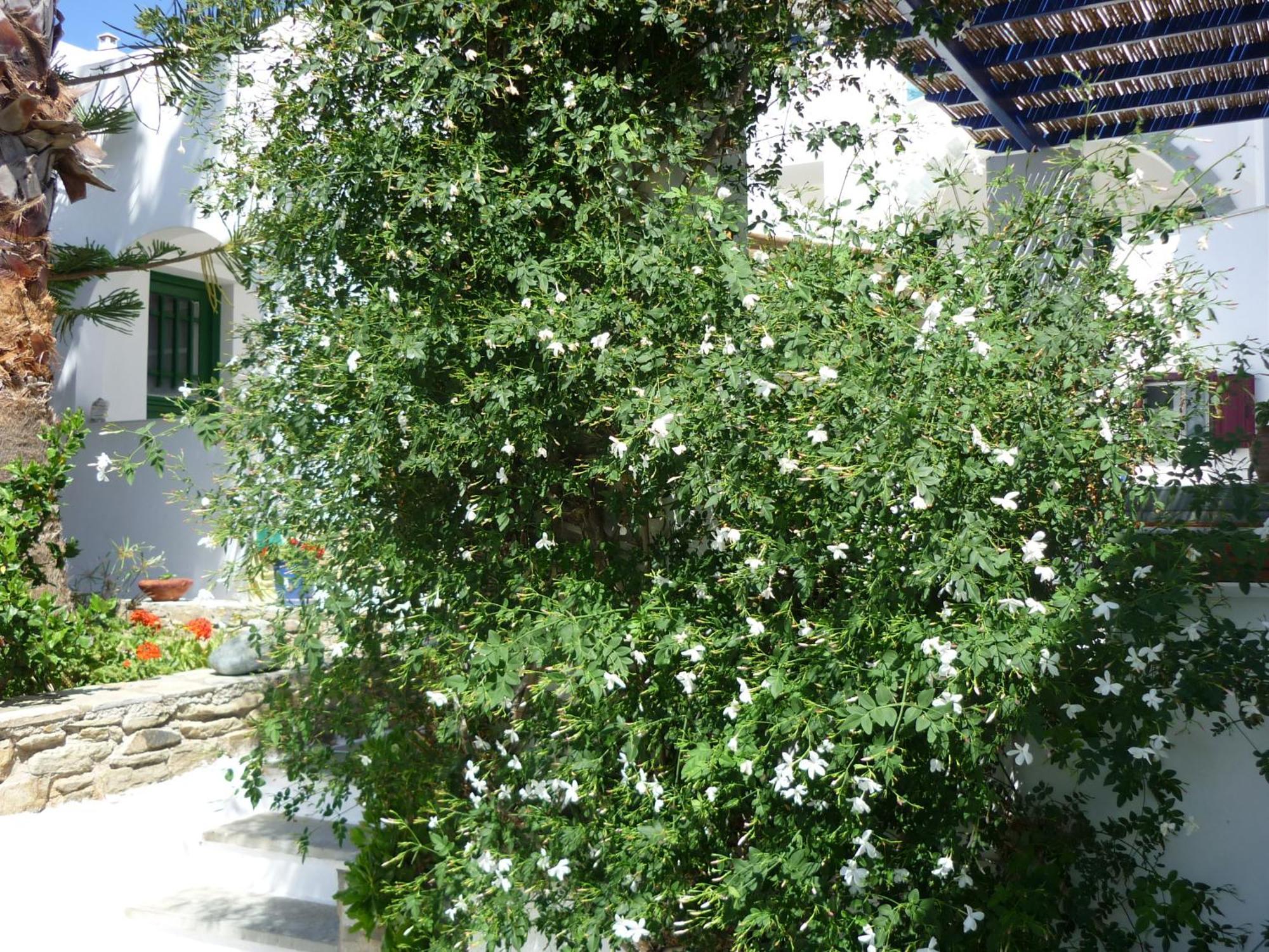 Porto Vlastos Агиос-Иоаннис Экстерьер фото